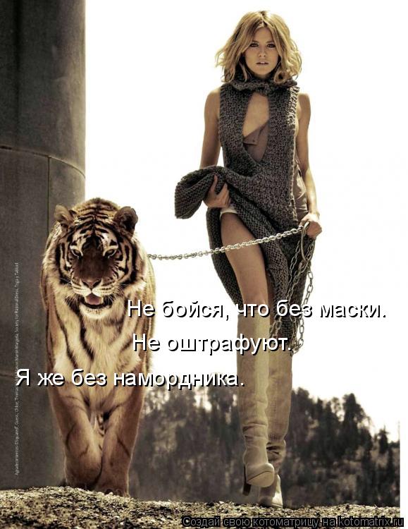 Не бойся, что без маски. Не оштрафуют. Я же без намордника.... Котоматрица: Не бойся, что без маски. Не оштрафуют. Я же без намордника.