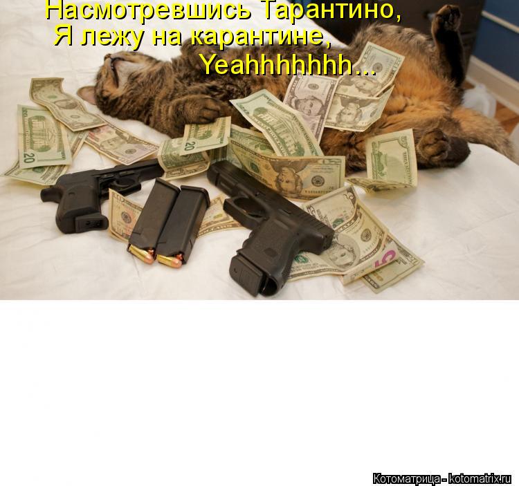 Насмотревшись Тарантино, Я лежу на карантине, Yeahhhhhhh...... Котоматрица: Насмотревшись Тарантино, Я лежу на карантине, Yeahhhhhhh...