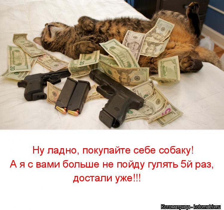 Ну ладно, покупайте себе собаку! А я с вами больше не пойду гулять 5й раз, достали уже!!!... Котоматрица: Ну ладно, покупайте себе собаку! А я с вами больше не пойду гулять 5й раз, достали уже!!!