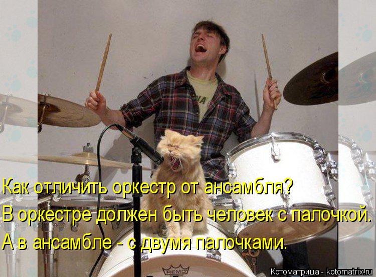 Как отличить оркестр от ансамбля? В оркестре должен быть человек с палочкой. А в ансамбле - с двумя п... Котоматрица: Как отличить оркестр от ансамбля? В оркестре должен быть человек с палочкой. А в ансамбле - с двумя палочками.