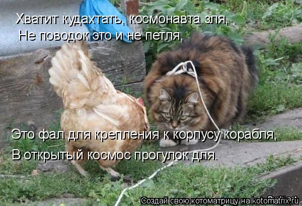 Хватит кудахтать, космонавта зля, Не поводок это и не петля, Это фал для крепления к корпусу корабля,... Котоматрица: Хватит кудахтать, космонавта зля, Не поводок это и не петля, Это фал для крепления к корпусу корабля, В открытый космос прогулок для.