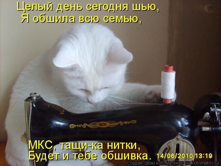 Целый день сегодня шью, Я обшила всю семью, МКС, тащи-ка нитки, Будет и тебе обшивка.... Котоматрица: Целый день сегодня шью, Я обшила всю семью, МКС, тащи-ка нитки, Будет и тебе обшивка.