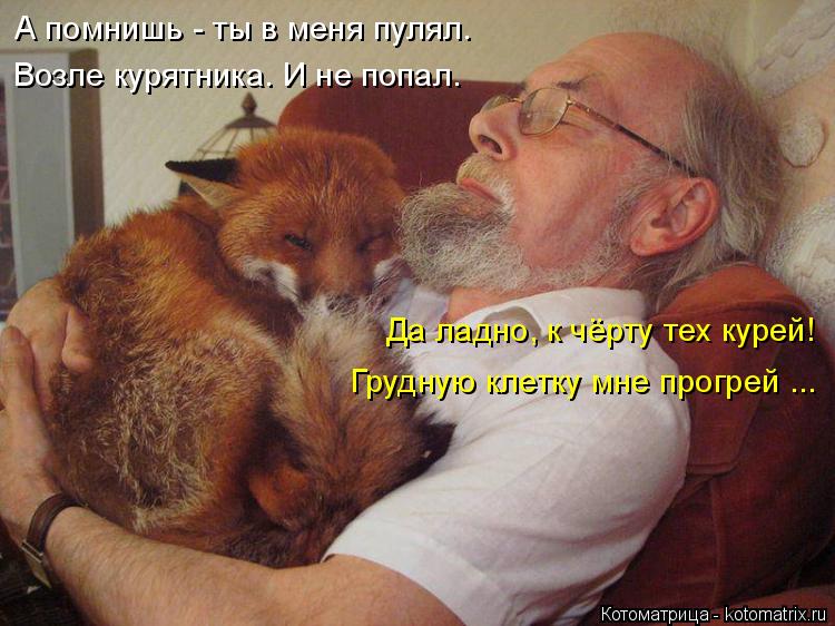 А помнишь - ты в меня пулял. Возле курятника. И не попал. Да ладно, к чёрту тех курей! Грудную клетку... Котоматрица: А помнишь - ты в меня пулял. Возле курятника. И не попал. Да ладно, к чёрту тех курей! Грудную клетку мне прогрей ...