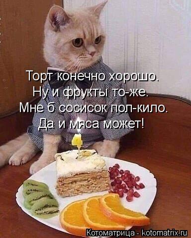 Торт конечно хорошо. Ну и фрукты то-же. Мне б сосисок пол-кило. Да и мяса может!... Котоматрица: Торт конечно хорошо. Ну и фрукты то-же. Мне б сосисок пол-кило. Да и мяса может!