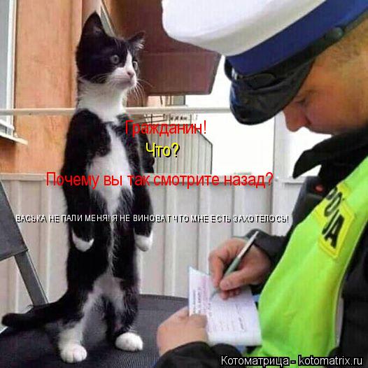 Гражданин! Гражданин! Почему вы так смотрите назад? Что? ВАСЬКА НЕ ПАЛИ МЕНЯ! Я НЕ ВИНОВАТ ЧТО МНЕ ЕС... Котоматрица: Гражданин! Гражданин! Почему вы так смотрите назад? Что? ВАСЬКА НЕ ПАЛИ МЕНЯ! Я НЕ ВИНОВАТ ЧТО МНЕ ЕСТЬ ЗАХОТЕЛОСЬ!