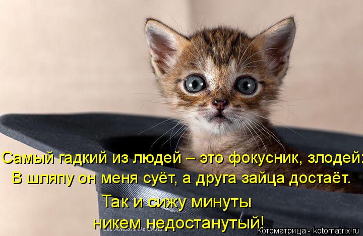 Самый гадкий из людей – это фокусник, злодей: В шляпу он меня суёт, а друга зайца достаёт. Так и сижу... Котоматрица: Самый гадкий из людей – это фокусник, злодей: В шляпу он меня суёт, а друга зайца достаёт. Так и сижу минуты никем недостанутый!