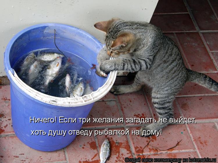 Ничего! Если три желания загадать не выйдет, хоть душу отведу рыбалкой на дому!... Котоматрица: Ничего! Если три желания загадать не выйдет, хоть душу отведу рыбалкой на дому!
