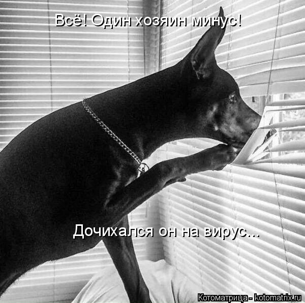 Всё! Один хозяин минус! Дочихался он на вирус...... Котоматрица: Всё! Один хозяин минус! Дочихался он на вирус...