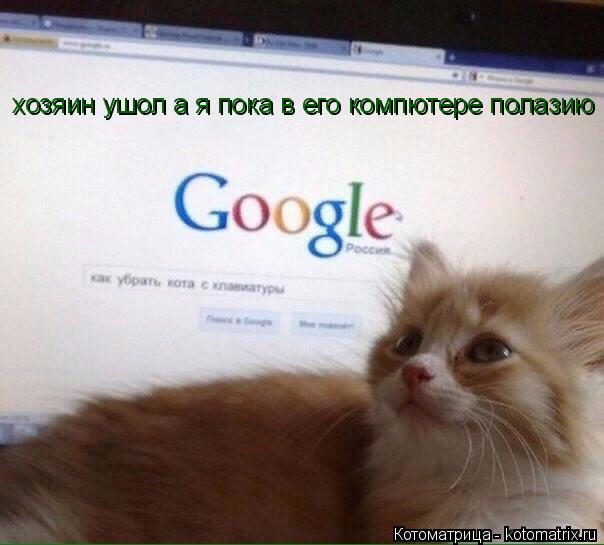хозяин ушол а я пока в его компютере полазию... Котоматрица: хозяин ушол а я пока в его компютере полазию