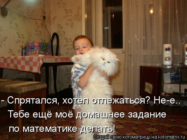 - Спрятался, хотел отлежаться? Не-е.. Тебе ещё моё домашнее задание по математике делать!... Котоматрица: - Спрятался, хотел отлежаться? Не-е.. Тебе ещё моё домашнее задание по математике делать!