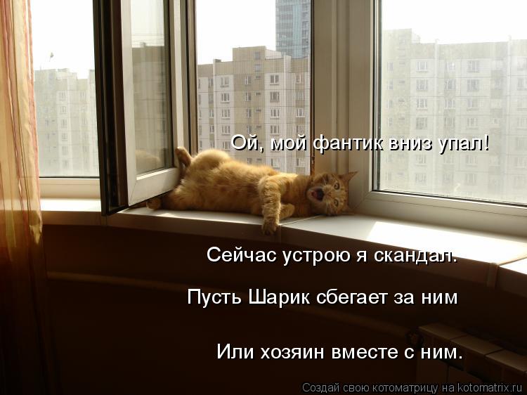 Ой, мой фантик вниз упал! Сейчас устрою я скандал. Пусть Шарик сбегает за ним Или хозяин вместе с ним... Котоматрица: Ой, мой фантик вниз упал! Сейчас устрою я скандал. Пусть Шарик сбегает за ним Или хозяин вместе с ним.