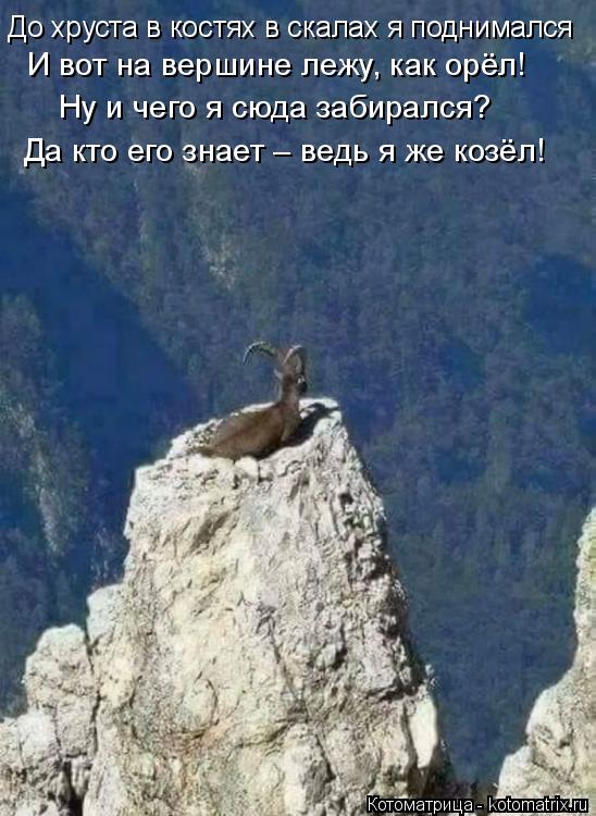 Котоматрица: До хруста в костях в скалах я поднимался И вот на вершине лежу, как орёл!  Ну и чего я сюда забирался? Да кто его знает – ведь я же козёл!