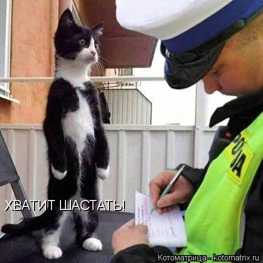 ХВАТИТ ШАСТАТЬ!... Котоматрица: ХВАТИТ ШАСТАТЬ!