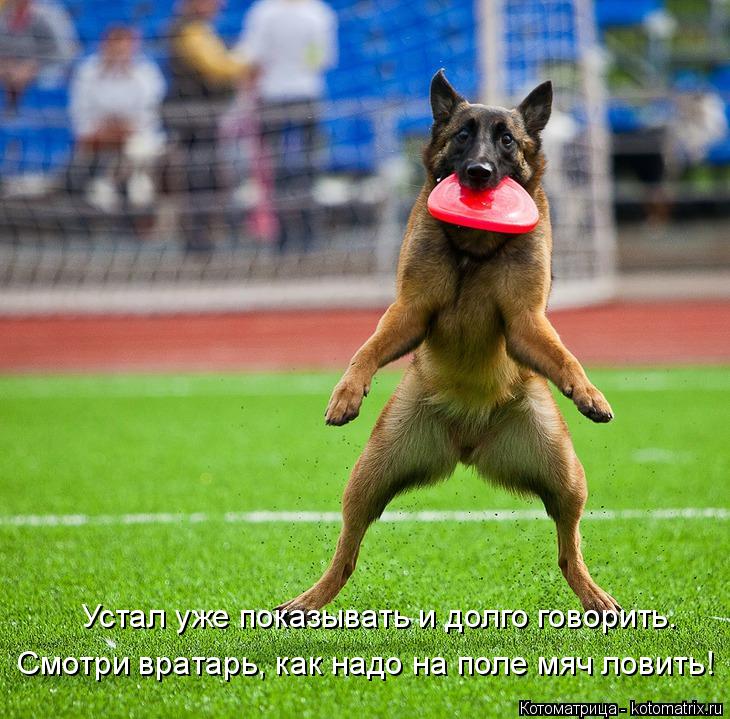 Устал уже показывать и долго говорить. Смотри вратарь, как надо на поле мяч ловить!... Котоматрица: Устал уже показывать и долго говорить. Смотри вратарь, как надо на поле мяч ловить!