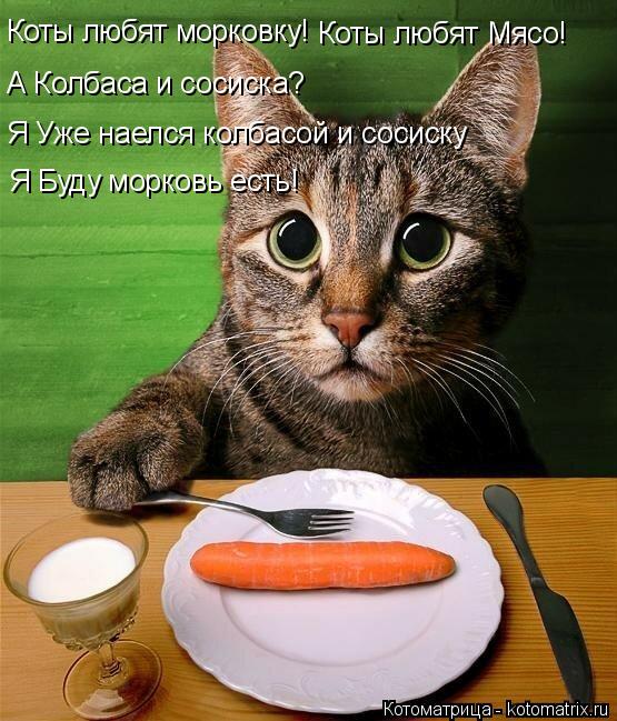 Коты любят морковку! Коты любят Мясо! А Колбаса и сосиска? Я Уже наелся колбасой и сосиску Я Буду мор... Котоматрица: Коты любят морковку! Коты любят Мясо! А Колбаса и сосиска? Я Уже наелся колбасой и сосиску Я Буду морковь есть!