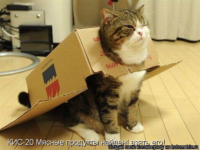 КИС-20 Мясные продукты найден! взять его!... Котоматрица: КИС-20 Мясные продукты найден! взять его!