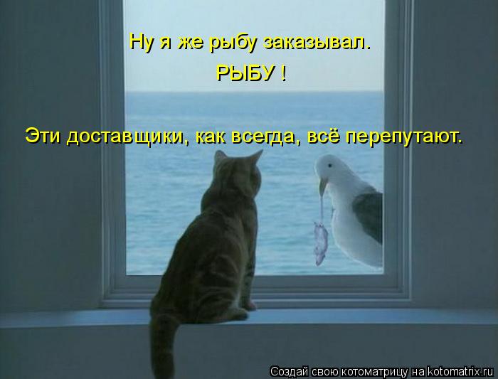 Ну я же рыбу заказывал. РЫБУ ! Эти доставщики, как всегда, всё перепутают.... Котоматрица: Ну я же рыбу заказывал. РЫБУ ! Эти доставщики, как всегда, всё перепутают.