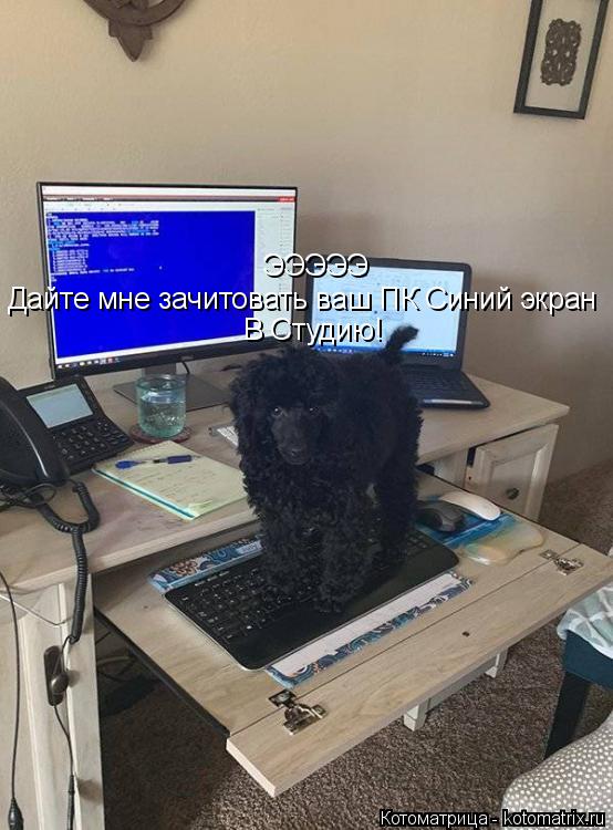 ЭЭЭЭЭ Дайте мне зачитовать ваш ПК Синий экран В Студию!... Котоматрица: ЭЭЭЭЭ Дайте мне зачитовать ваш ПК Синий экран В Студию!