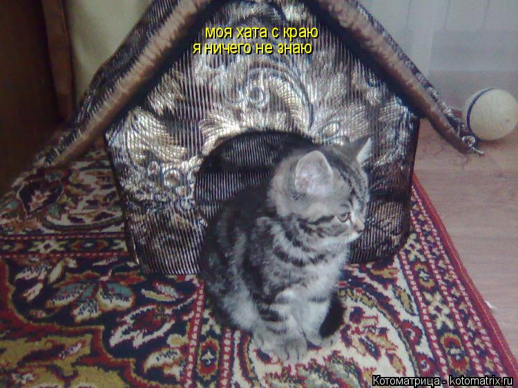 моя хата с краю я ничего не знаю... Котоматрица: моя хата с краю я ничего не знаю