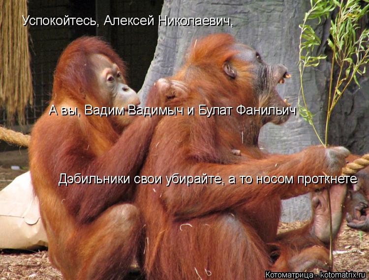 Успокойтесь, Алексей Николаевич, А вы, Вадим Вадимыч и Булат Фанильич Дэбильники свои убирайте, а то... Котоматрица: Успокойтесь, Алексей Николаевич, А вы, Вадим Вадимыч и Булат Фанильич Дэбильники свои убирайте, а то носом проткнете