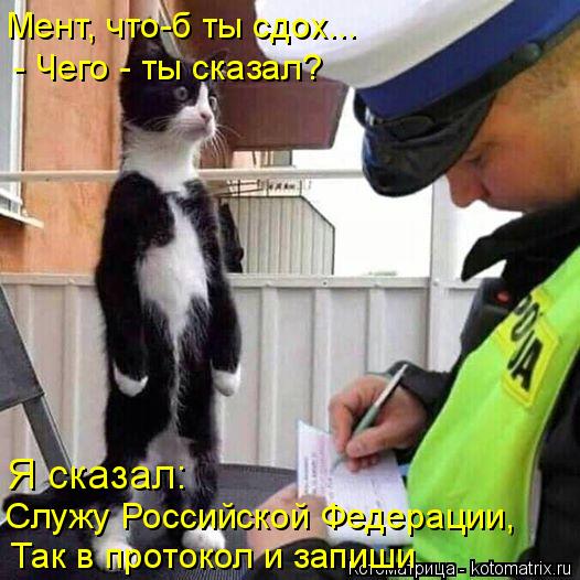 Мент, что-б ты сдох... - Чего - ты сказал? Так в протокол и запиши Служу Российской Федерации, Я сказ... Котоматрица: Мент, что-б ты сдох... - Чего - ты сказал? Так в протокол и запиши Служу Российской Федерации, Я сказал: