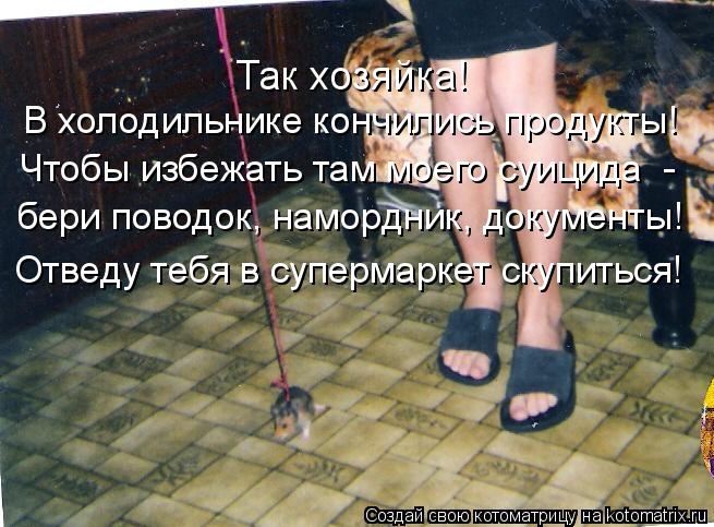 Так хозяйка! В холодильнике кончились продукты! бери поводок, намордник, документы! Отведу тебя в су... Котоматрица: Так хозяйка! В холодильнике кончились продукты! бери поводок, намордник, документы! Отведу тебя в супермаркет скупиться! Чтобы избежать та?