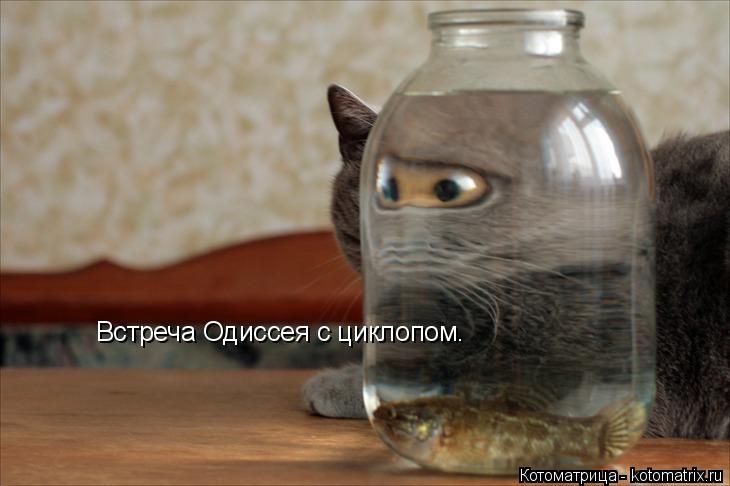 Котоматрица: Встреча Одиссея с циклопом.