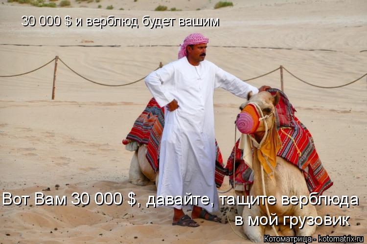 Котоматрица: 30 000 $ и верблюд будет вашим Вот Вам 30 000 $, давайте, тащите верблюда в мой грузовик