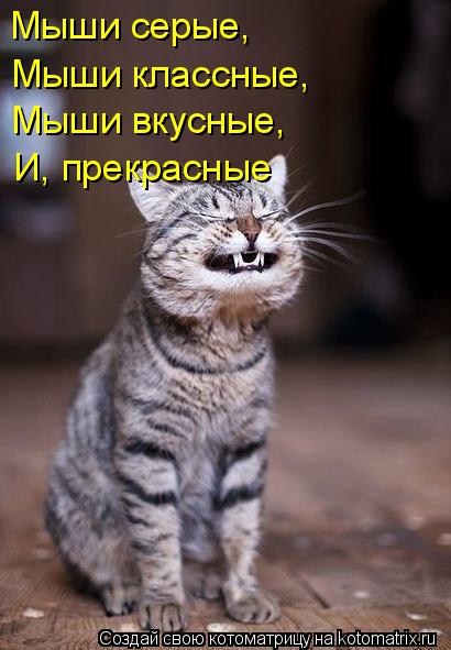 Котоматрица: Мыши серые, Мыши классные, Мыши вкусные, И, прекрасные