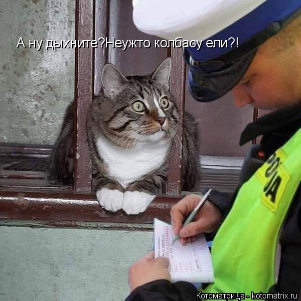Котоматрица: А ну дыхните?Неужто колбасу ели?!