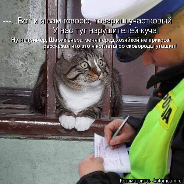 Котоматрица: ---...Вот и я вам говорю, товарищ участковый У нас тут нарушителей куча! Ну, например, Шарик вчера меня перед хозяйкой не прикрыл рассказал что 