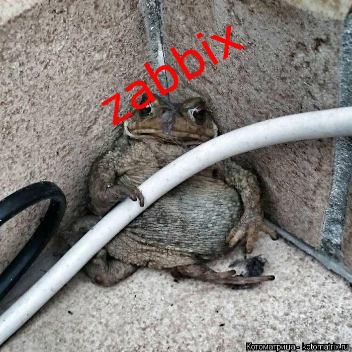 Котоматрица: zabbix