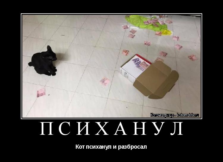 Котоматрица: ПСИХАНУЛ Кот психанул и разбросал