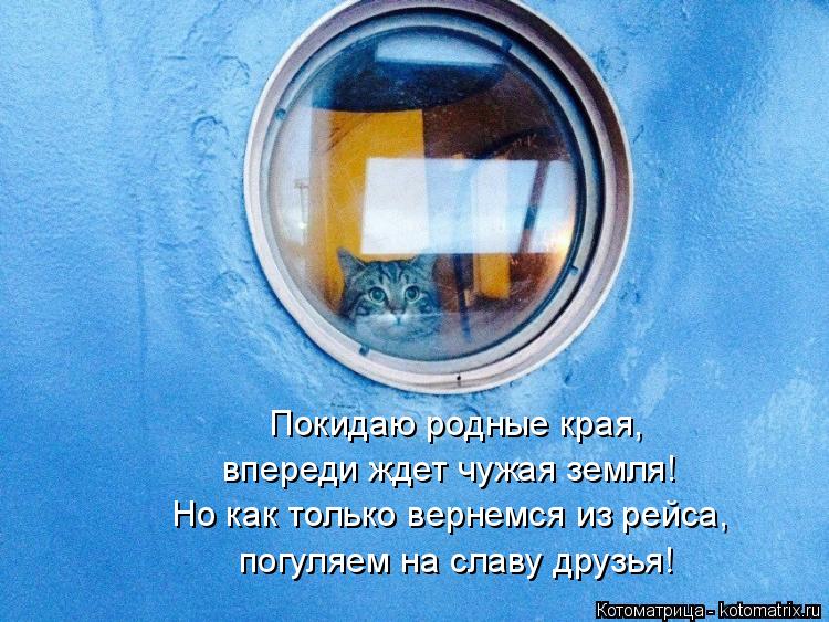 Котоматрица: Покидаю родные края, впереди ждет чужая земля! Но как только вернемся из рейса, погуляем на славу друзья!
