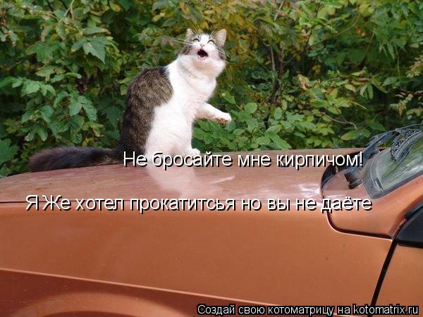Котоматрица: Не бросайте мне кирпичом! Я Же хотел прокатитсья но вы не даёте