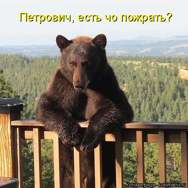 Котоматрица: Петрович, есть чо пожрать?