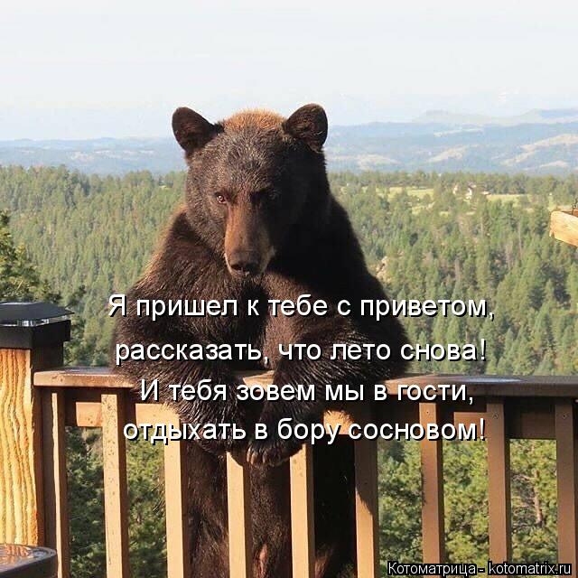 Котоматрица: Я пришел к тебе с приветом, И тебя зовем мы в гости, рассказать, что лето снова! отдыхать в бору сосновом!