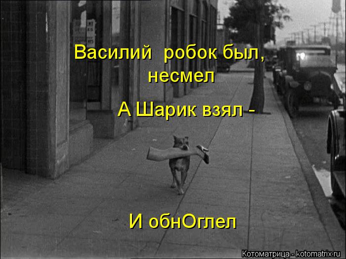 Котоматрица: Василий  робок был, несмел А Шарик взял - И обнОглел