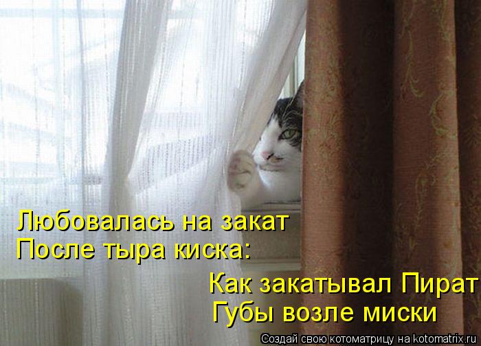 Котоматрица: Любовалась на закат Как закатывал Пират Губы возле миски После тыра киска: