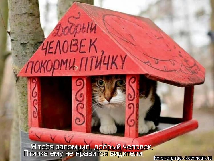 Я тебя запомнил, добрый человек. Птичка ему не нравится видители... Котоматрица: Я тебя запомнил, добрый человек. Птичка ему не нравится видители