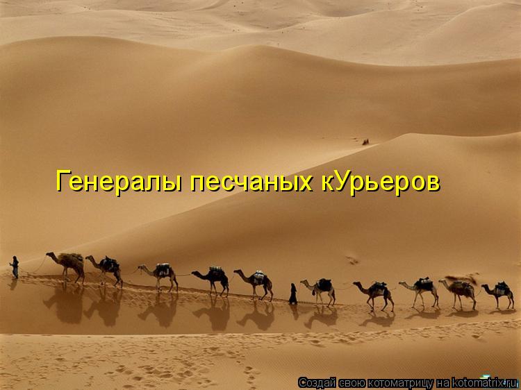 Генералы песчаных кУрьеров... Котоматрица: Генералы песчаных кУрьеров