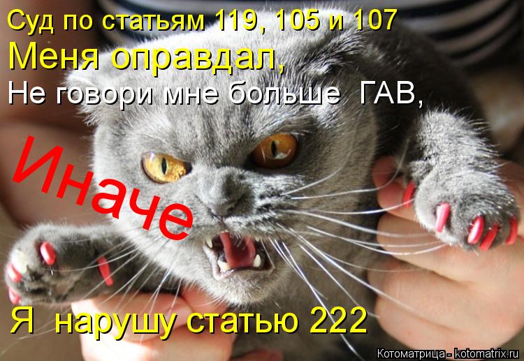 Котоматрица: Меня оправдал, Не говори мне больше  ГАВ,  Я  нарушу статью 222 Иначе  Суд по статьям 119, 105 и 107