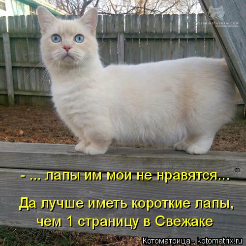 - ... лапы им мои не нравятся... Да лучше иметь короткие лапы, чем 1 страницу в Свежаке... Котоматрица: - ... лапы им мои не нравятся... Да лучше иметь короткие лапы, чем 1 страницу в Свежаке