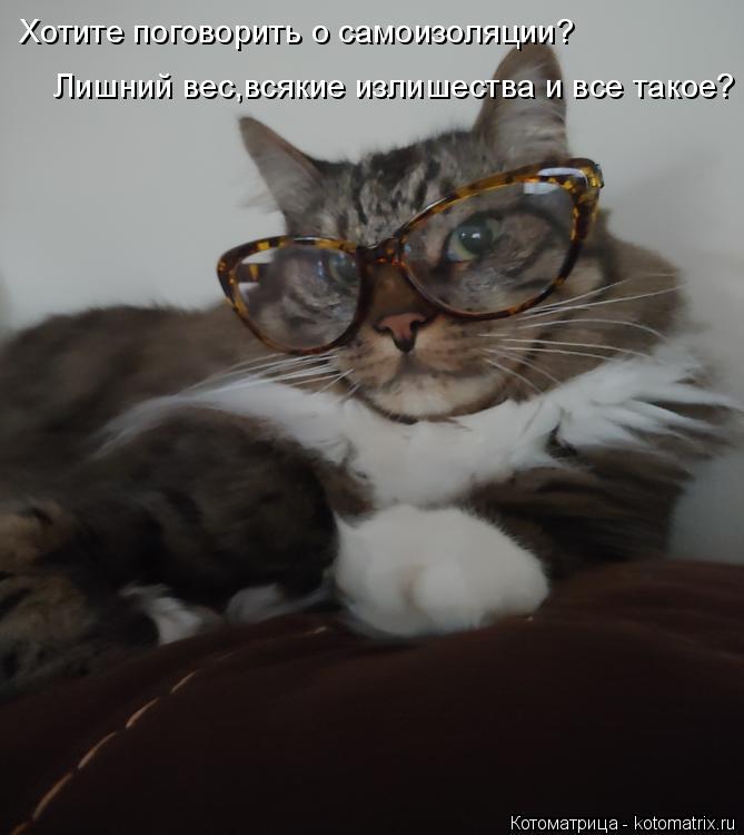 Котоматрица: Хотите поговорить о самоизоляции? Лишний вес,всякие излишества и все такое?