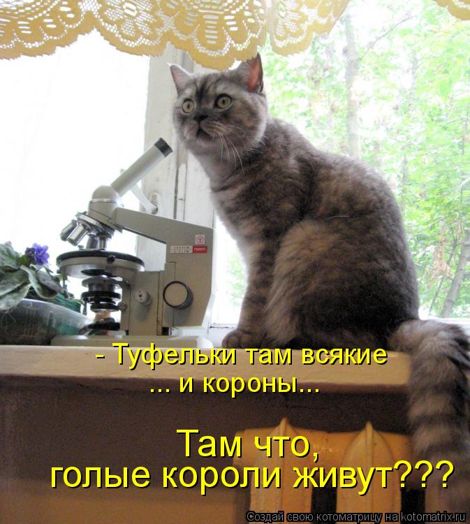 - Туфельки там всякие ... и короны... голые короли живут??? Там что,... Котоматрица: - Туфельки там всякие ... и короны... голые короли живут??? Там что,
