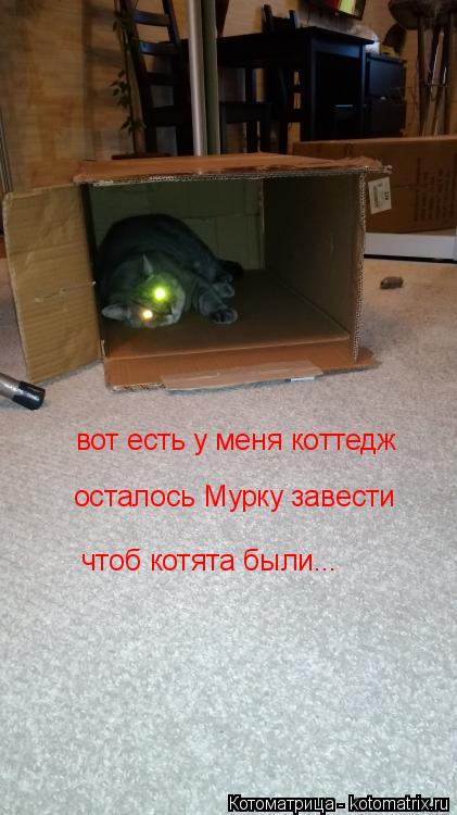 вот есть у меня коттедж осталось Мурку завести чтоб котята были...... Котоматрица: вот есть у меня коттедж осталось Мурку завести чтоб котята были...