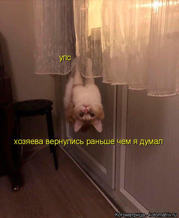 упс хозяева вернулись раньше чем я думал... Котоматрица: упс хозяева вернулись раньше чем я думал
