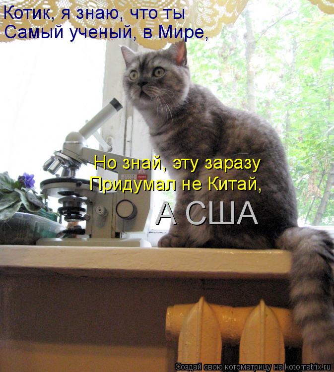 Котоматрица: Котик, я знаю, что ты  Самый ученый, в Мире,  Но знай, эту заразу  Придумал не Китай,  А США
