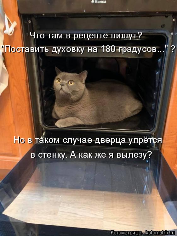 Котоматрица: Что там в рецепте пишут? "Поставить духовку на 180 градусов..." ? Но в таком случае дверца упрётся в стенку. А как же я вылезу?