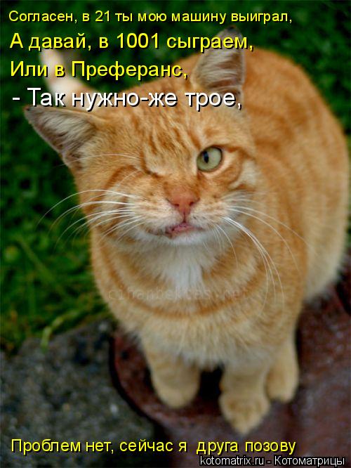 Котоматрица: Согласен, в 21 ты мою машину выиграл,  А давай, в 1001 сыграем,  Или в Преферанс,  - Так нужно-же трое,  Проблем нет, сейчас я  друга позову